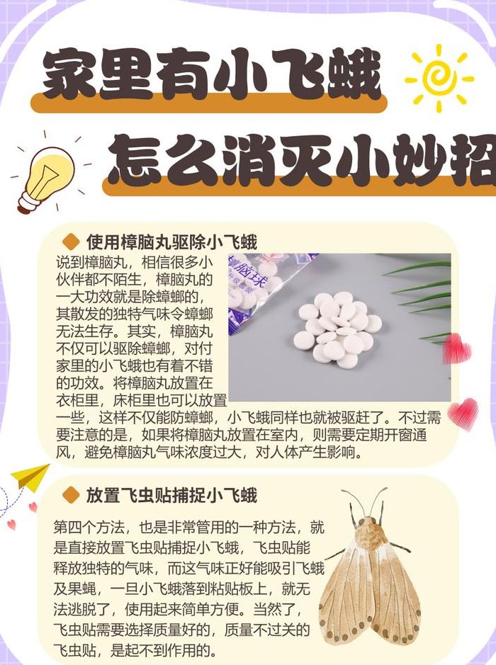 蛾子怎么消灭（蛾子怎么消灭最简单有效）