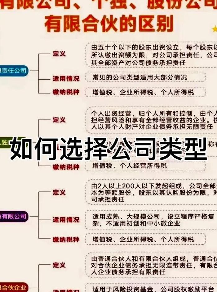 公司的类型（政治公司的类型）