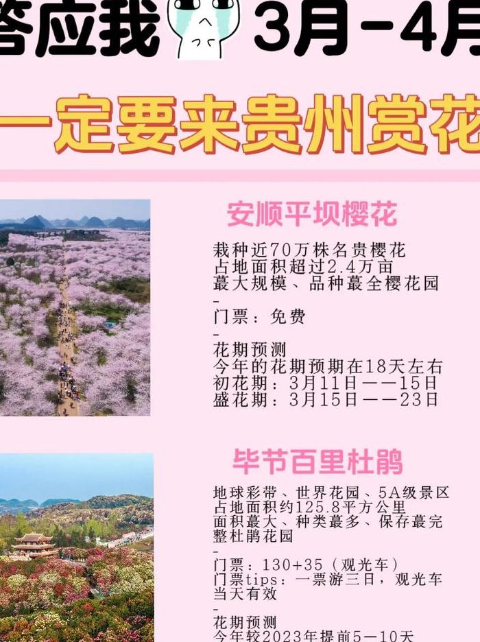 平坝农场樱花观赏时间（2021年平坝农场樱花观赏时间）