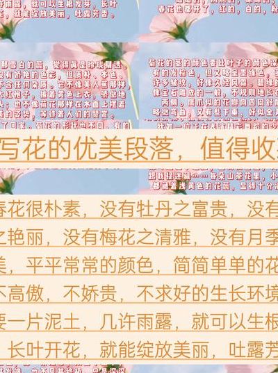 花儿什么的什么的填空（补充句子花儿什么的什么的）