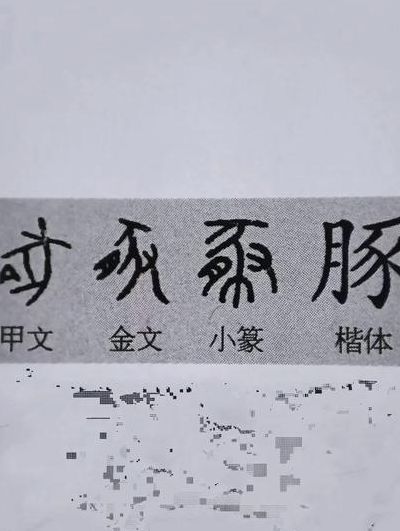 豕豚彘区别（彘和豚在古代有什么区别）