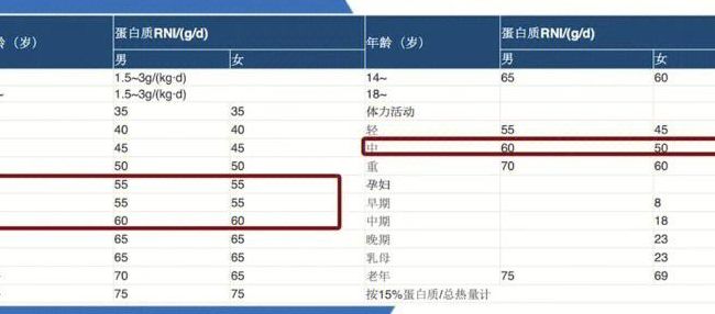 蛋白质摄入量（蛋白质摄入量标准）