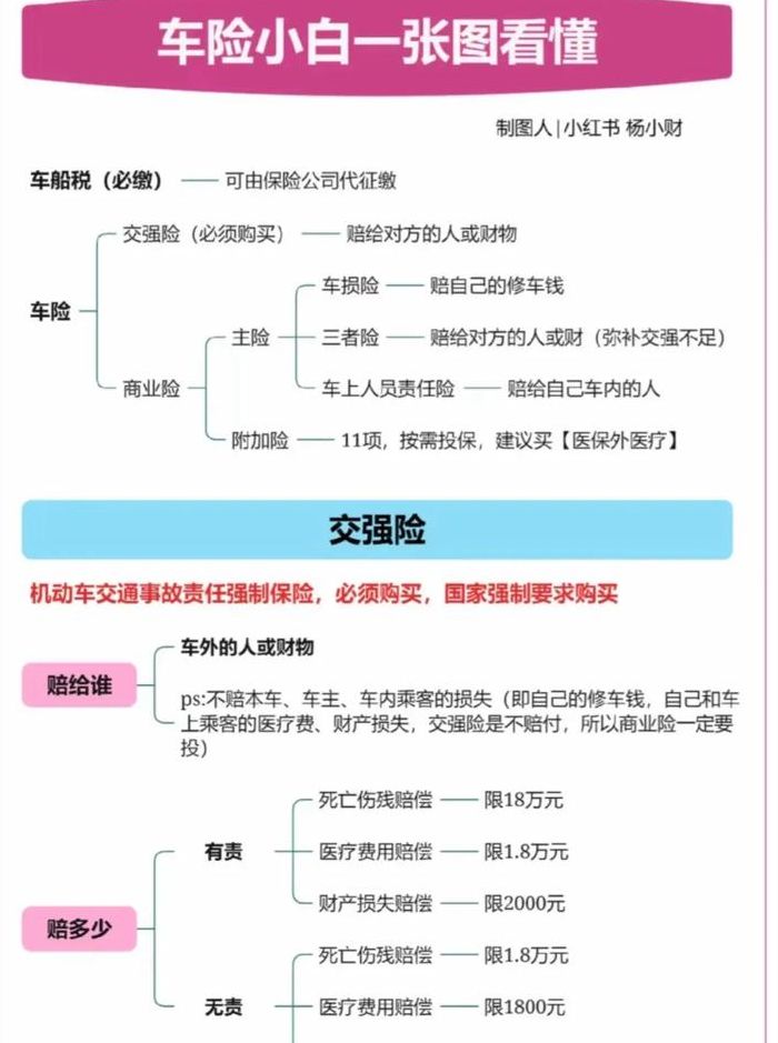 车险基本知识（车险基本常识）