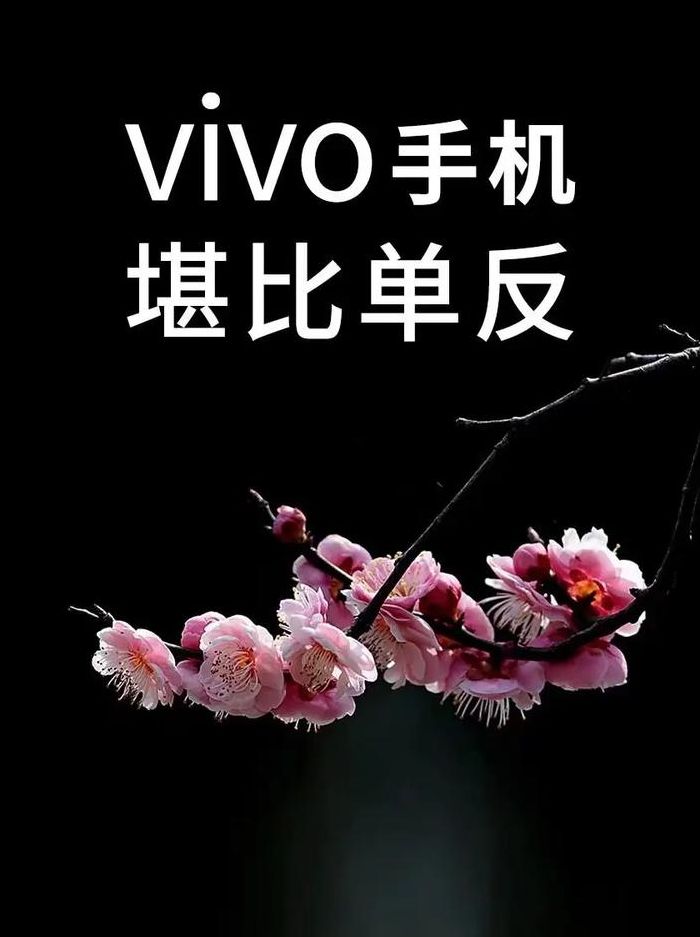 手机工厂模式（vivo手机工厂模式）