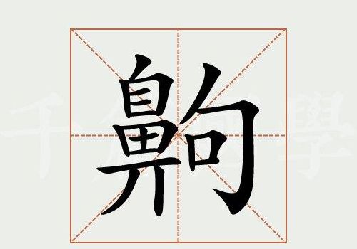 齁是什么意思（齁是什么意思台湾）