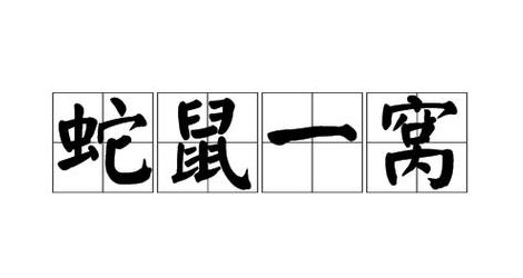 蛇鼠一窝是什么生肖（蛇鼠一窝是什么生肖数字）