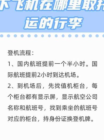 下飞机后去哪里拿行李的简单介绍