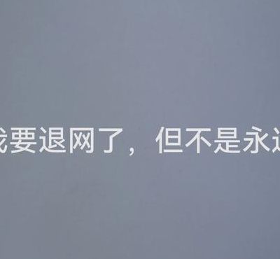 退网是什么意思（退网是什么意思意味着什么）