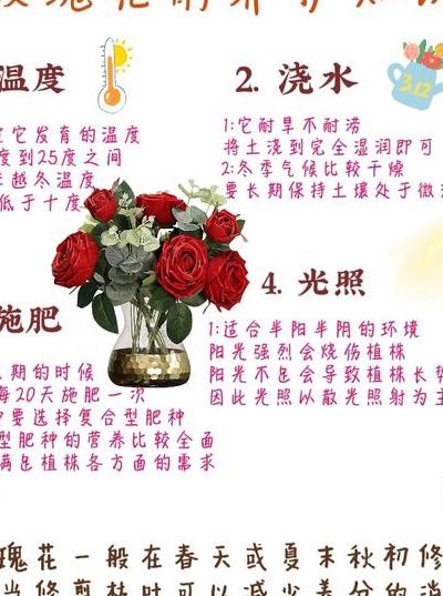 小玫瑰花怎么养（玫瑰花怎么养才能保存长久）