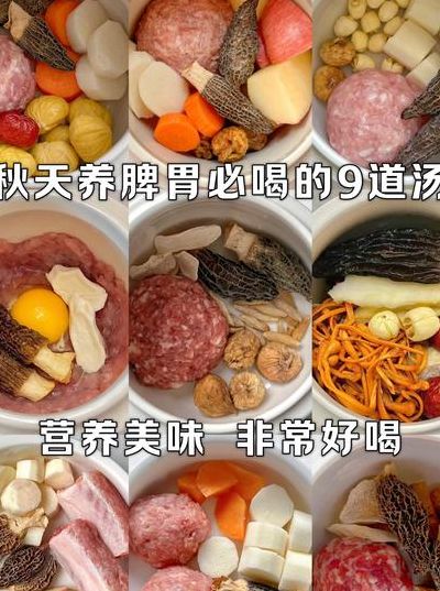 羊肚怎么煮（羊肚怎么煮汤好喝又营养）