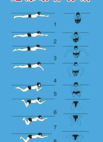 蛙泳腿部动作图解（蛙泳腿部动作图解动画）
