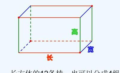 棱长是什么（棱长是什么形状）