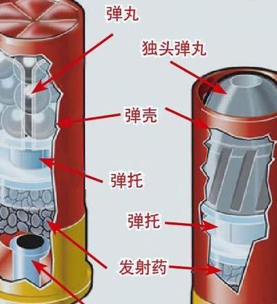 散弹枪和霰弹枪的区别（散弹和霰弹有什么区别）