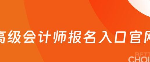 高级会计师（高级会计师报名网站入口）