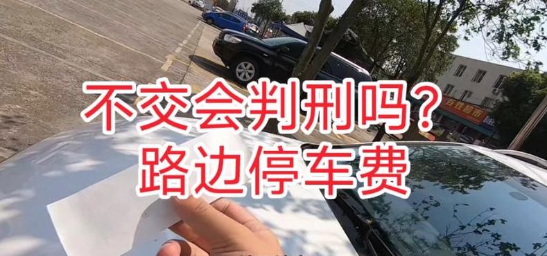 南京路边停车费不交会怎样（南京路边收费停车位不缴费会怎样）