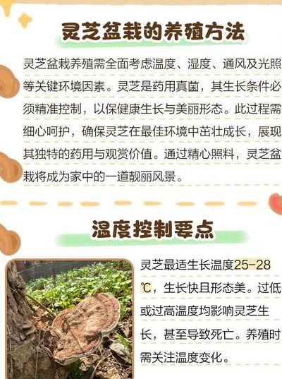 灵芝怎么种植方法（灵芝种植技术方法）