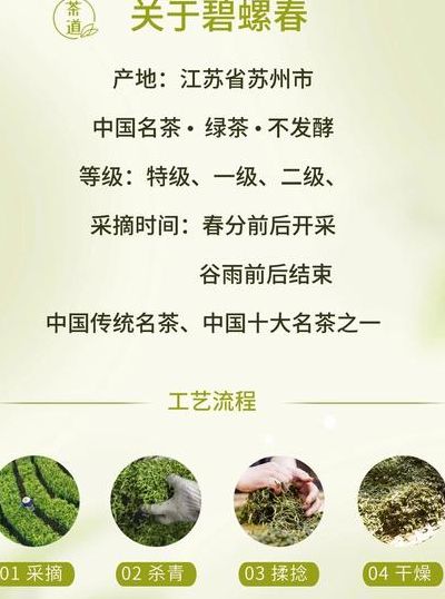 碧螺春是一种什么茶（碧螺春属于什么茶 有什么好处）