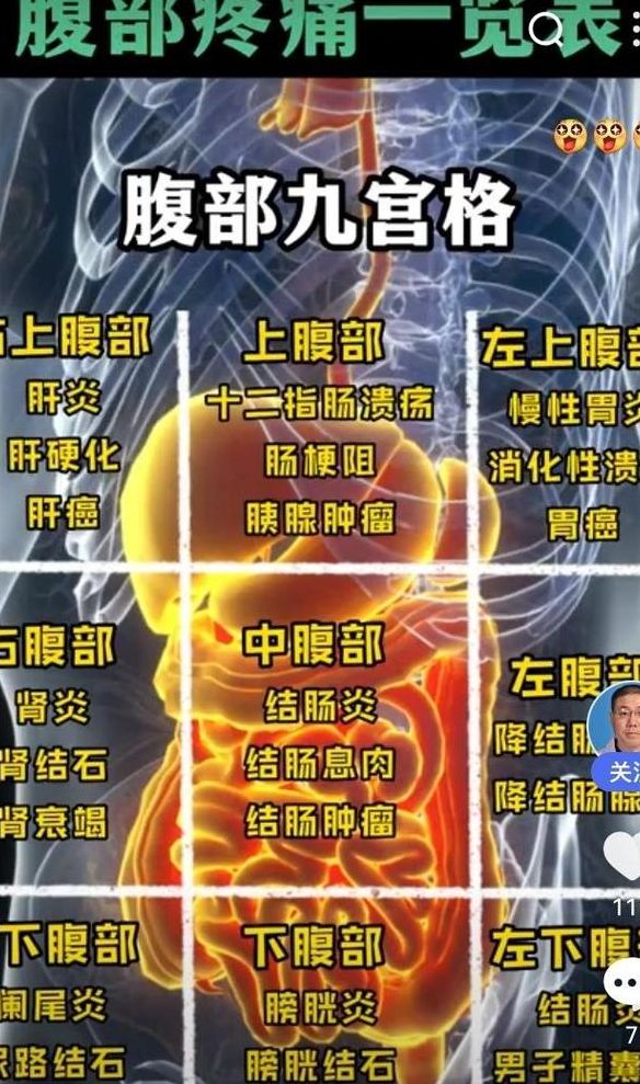 左侧腰腹痛部位对照表图（左侧腰疼腹部疼痛什么症状）